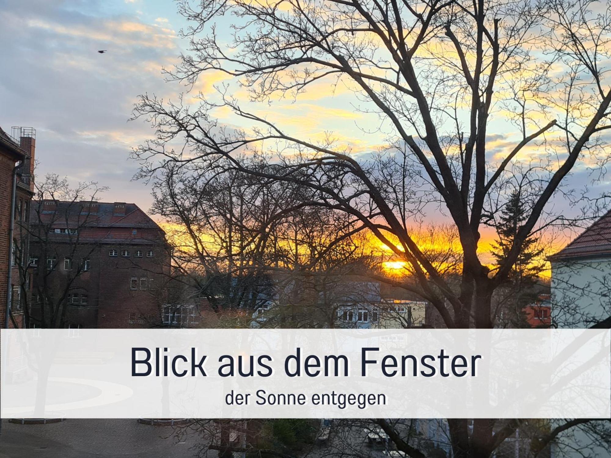 Lichtdurchflutete Moderne Stadtwohnung, Kueche, Waschtrockner, Smarttv Brandenburg  Bagian luar foto